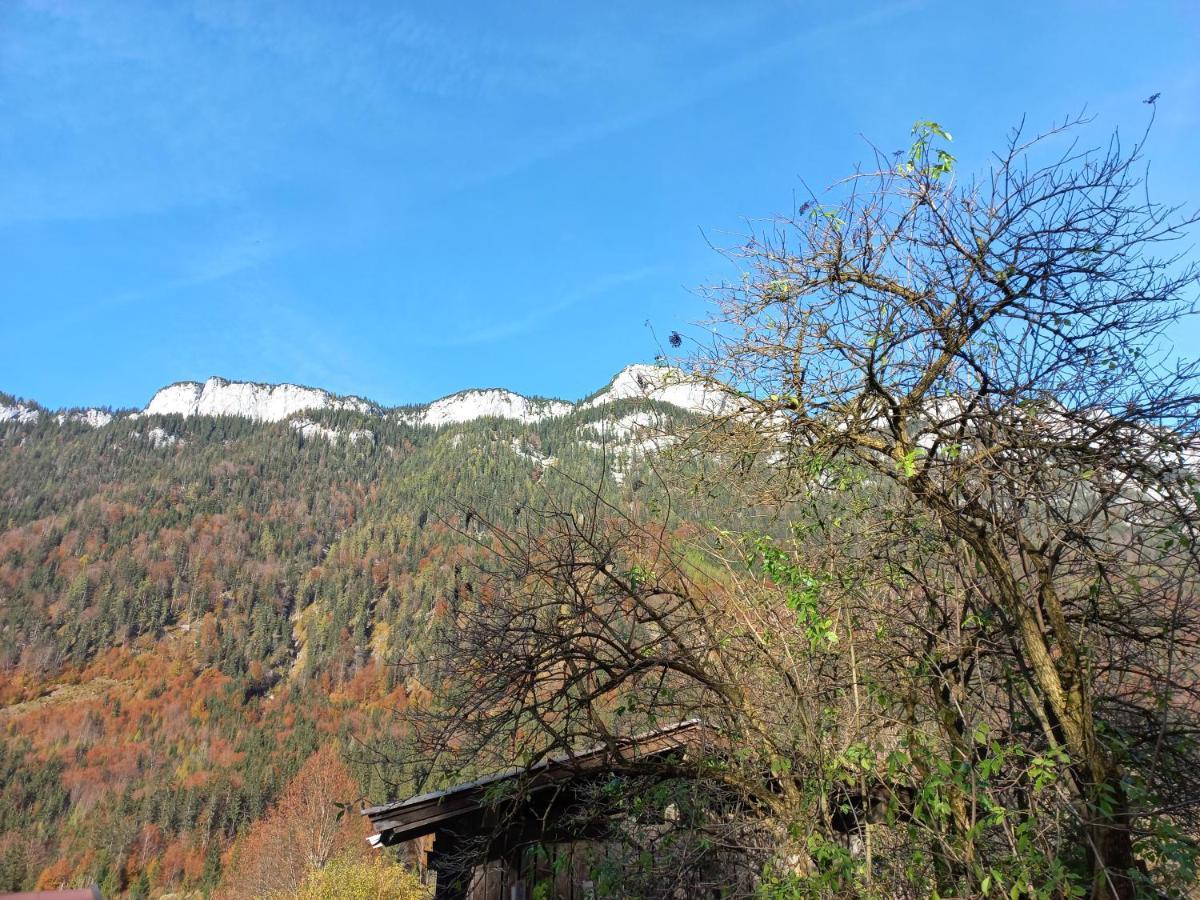 Ferienwohnung am Wald Waidring Exterior foto