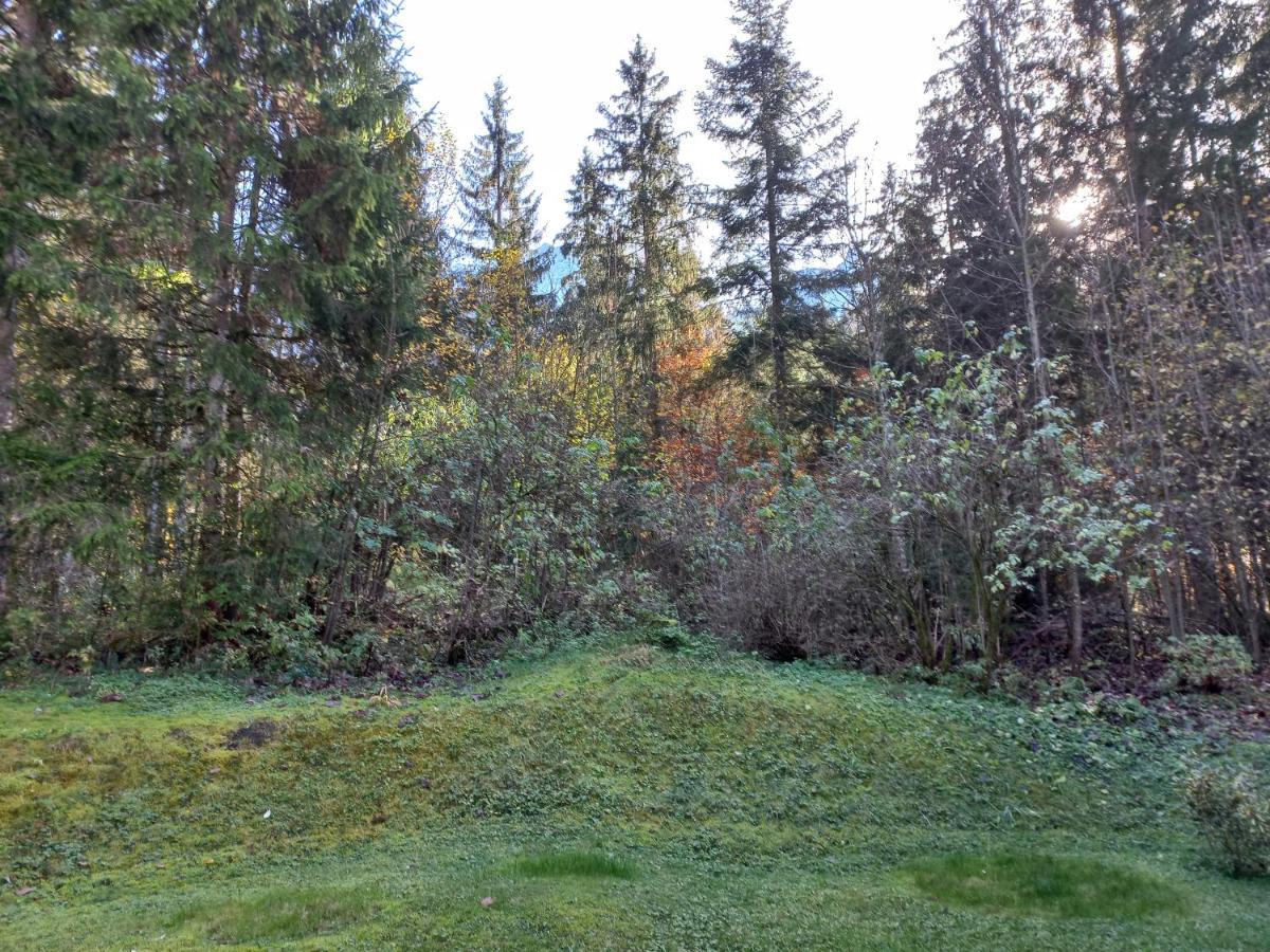 Ferienwohnung am Wald Waidring Exterior foto
